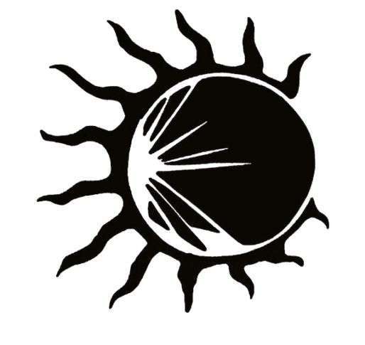 Image posted by the member