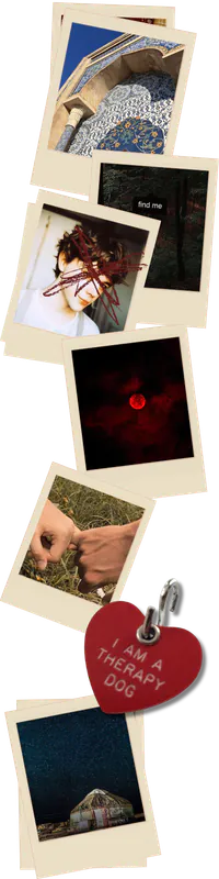 Image posted by the member