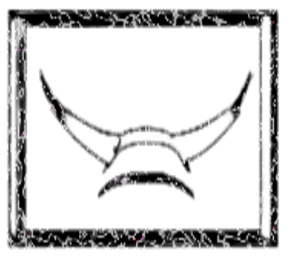 Image posted by the member