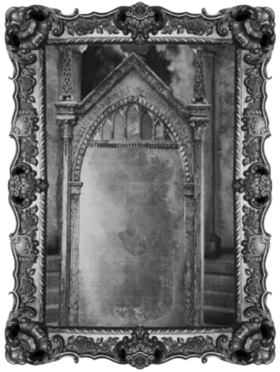 Image posted by the member