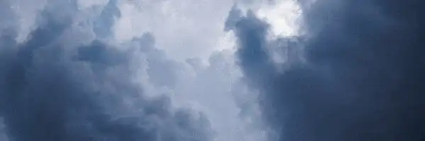 Image posted by the member