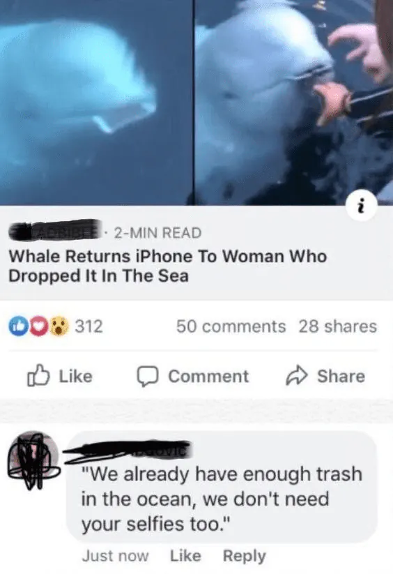 Image posted by the member