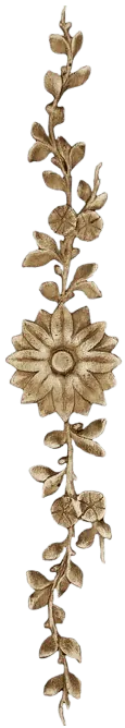 Image posted by the member