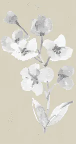 Image posted by the member