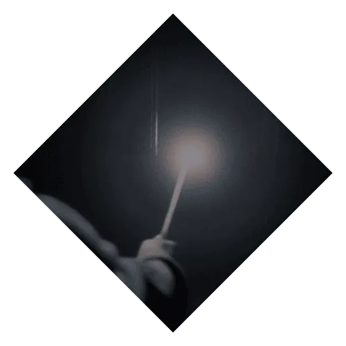 Image posted by the member