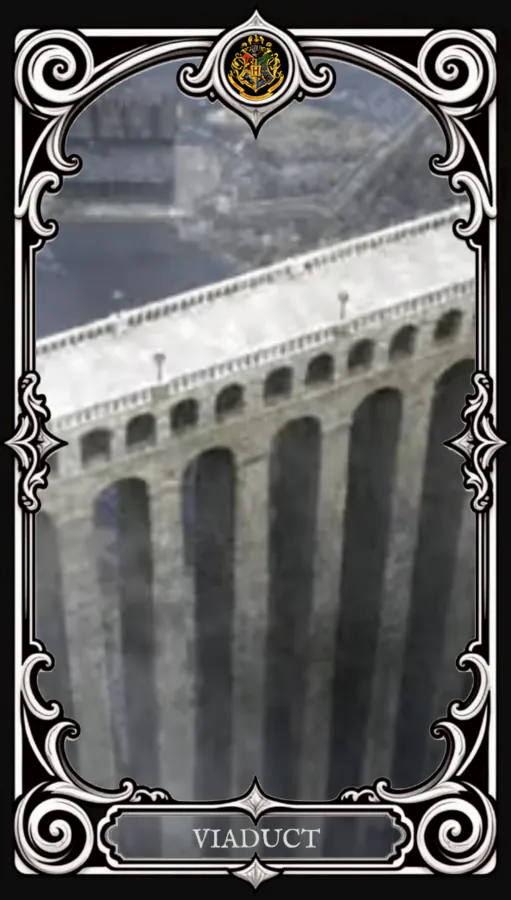 Image posted by the member