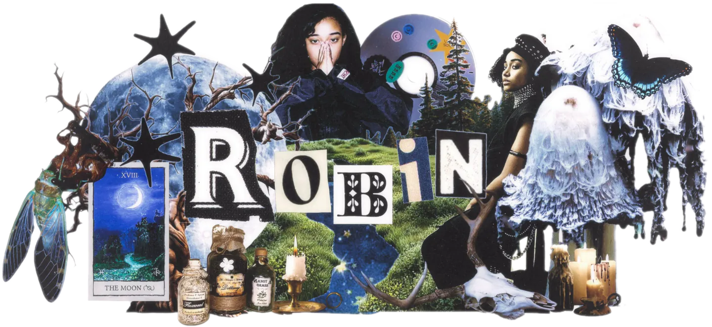 Robin Banner