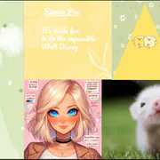 Image posted by the member