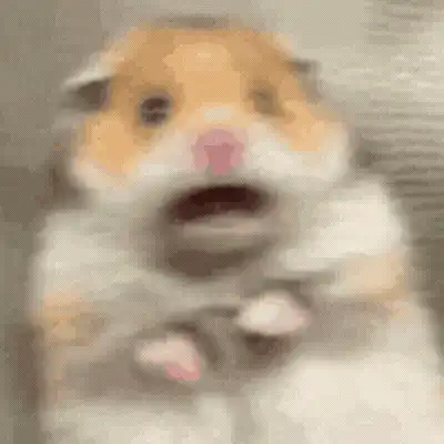 Image posted by the member
