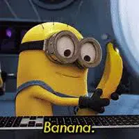 Image posted by the member