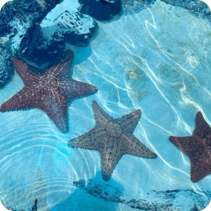 Image posted by the member