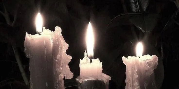 Image posted by the member