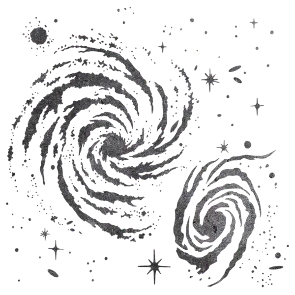 Image posted by the member