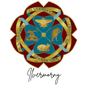 Image posted by the member