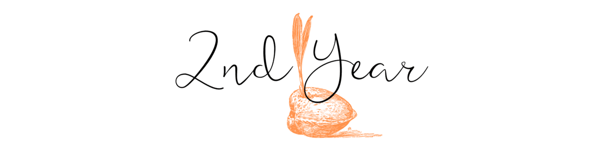 Image posted by the member