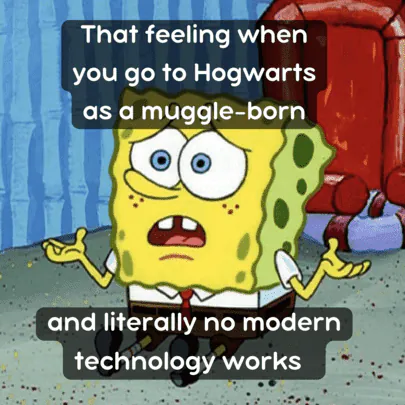 Image posted by the member