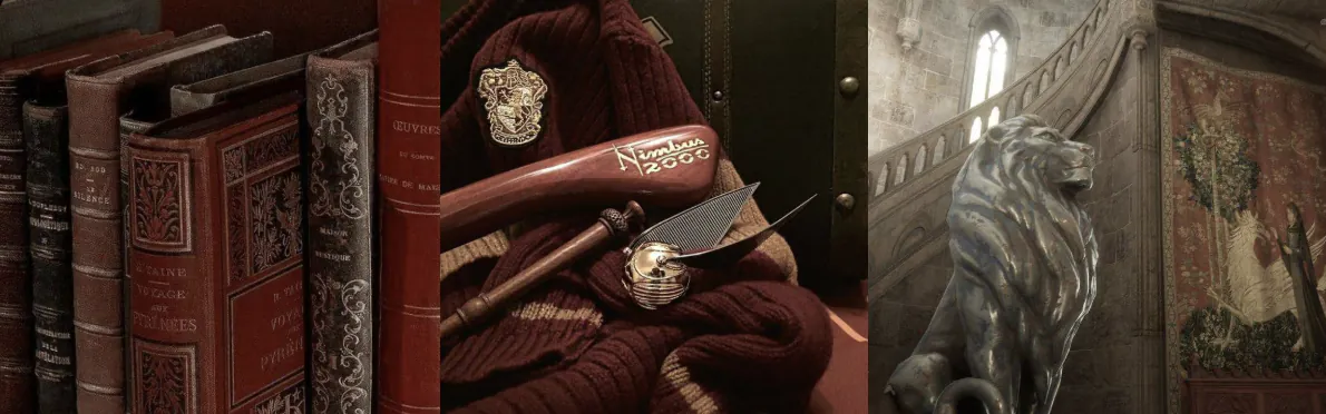 Image posted by the member