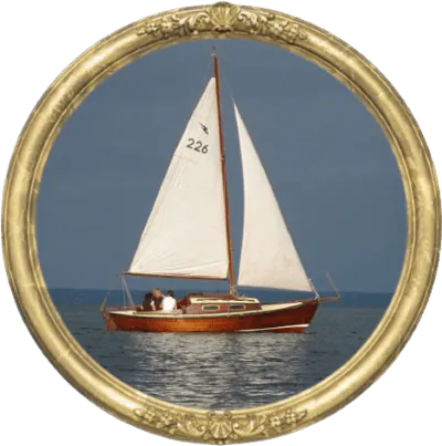 Image posted by the member