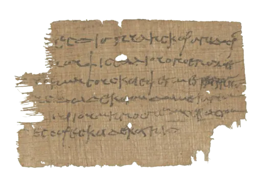Image posted by the member