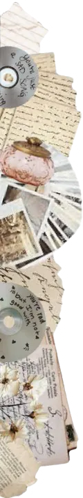 Image posted by the member