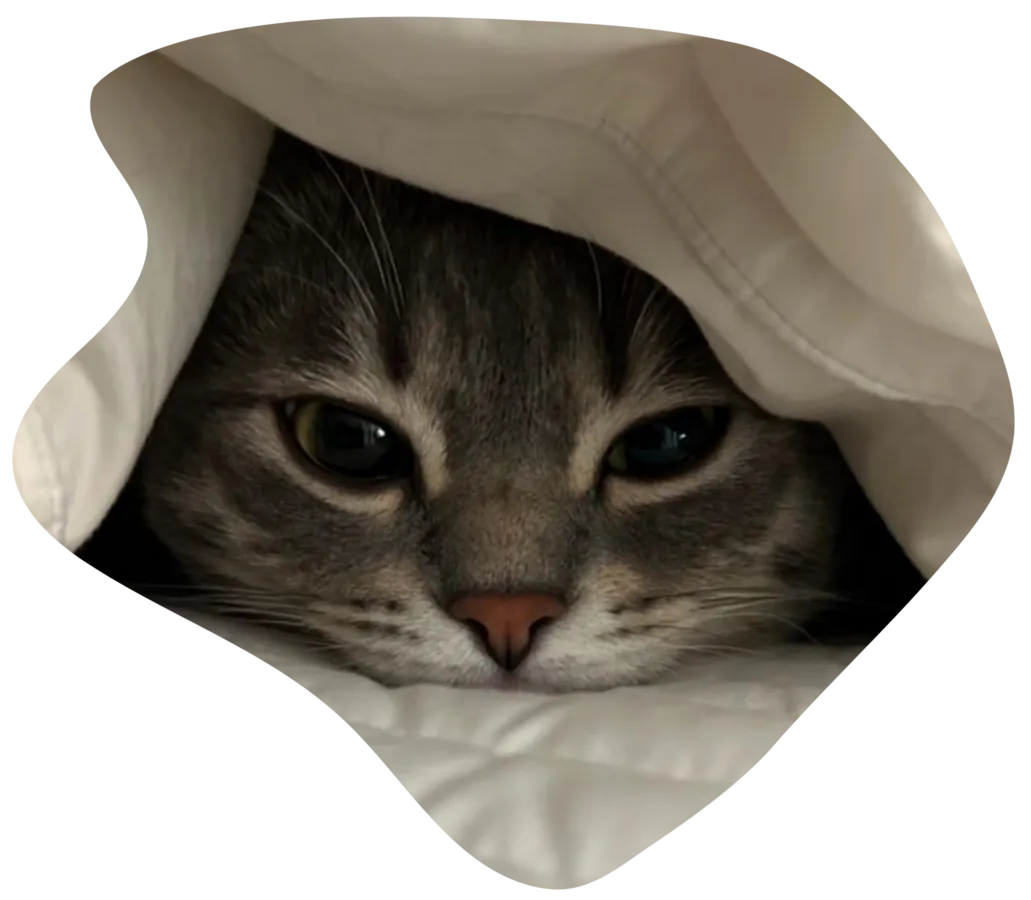 Image posted by the member