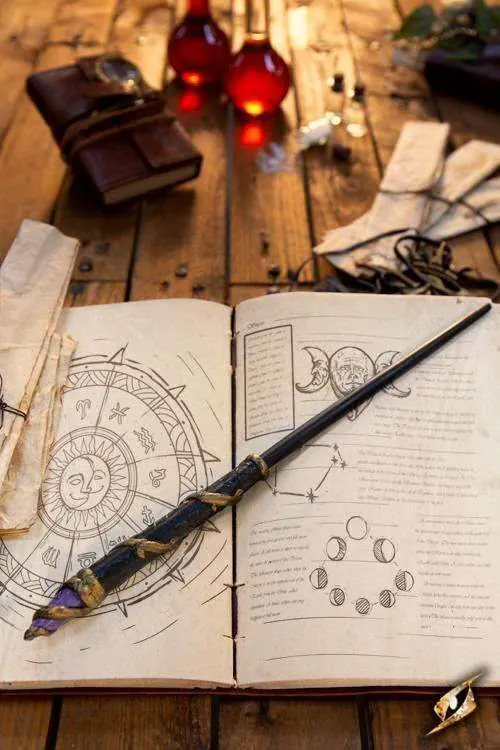 Image posted by the member