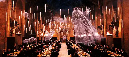Image posted by the member