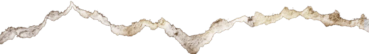 Image posted by the member