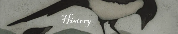 Image posted by the member