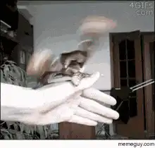 Image posted by the member