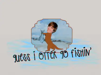 Image posted by the member