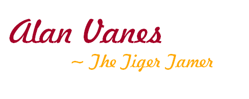 Image posted by the member