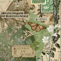 Image posted by the member