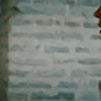 Image posted by the member