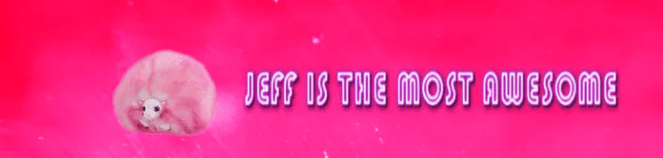 Image posted by the member