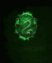 Image posted by the member