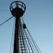 Image posted by the member