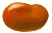 Image posted by the member