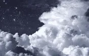 Image posted by the member