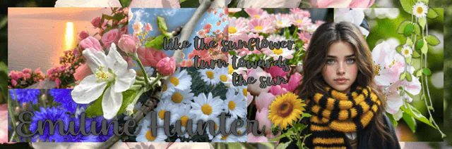Image posted by the member