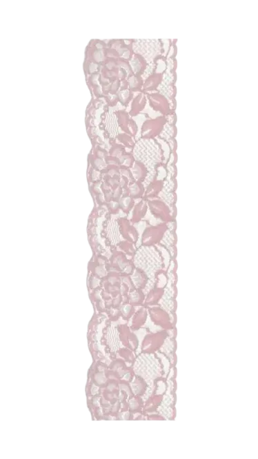 Image posted by the member