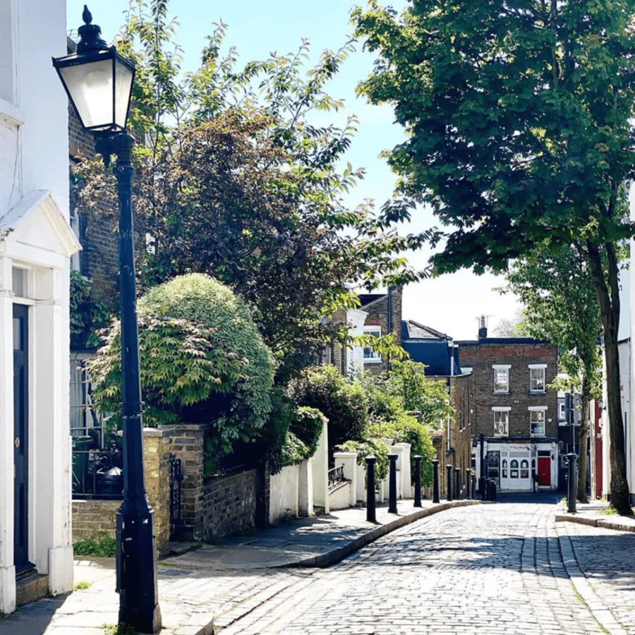 Image posted by the member