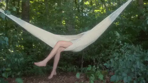 Image posted by the member