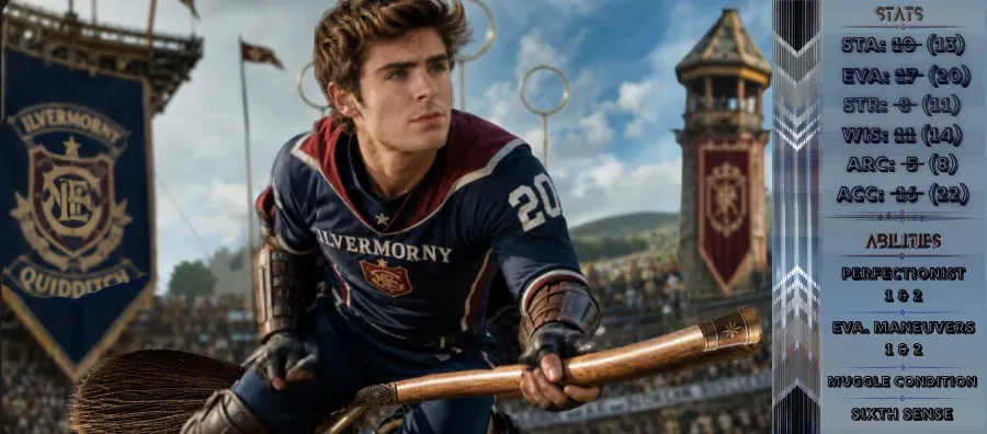 Stephen's 6th yr Quidditch banner