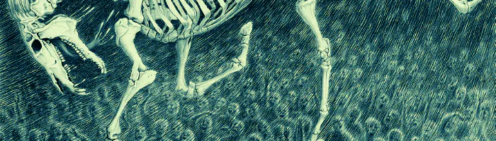 Image posted by the member