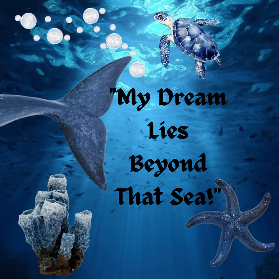 Image posted by the member
