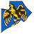 Image posted by the member