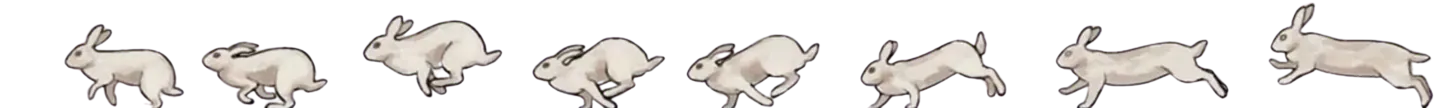 Image posted by the member