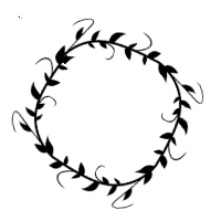 Image posted by the member