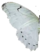Image posted by the member
